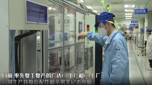 上海新增新冠病例與復工復產同步推進，計算機技術服務助力經濟復蘇