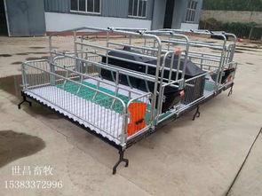 優(yōu)質(zhì)雙體母豬產(chǎn)床 提升養(yǎng)豬場管理效率的通用解決方案