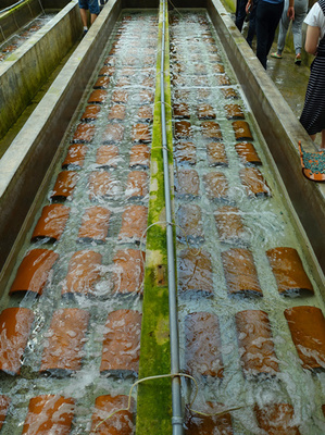 尋山集團(tuán)科技創(chuàng)新助力&ldquo;海上糧倉&rdquo;_河北新聞網(wǎng)