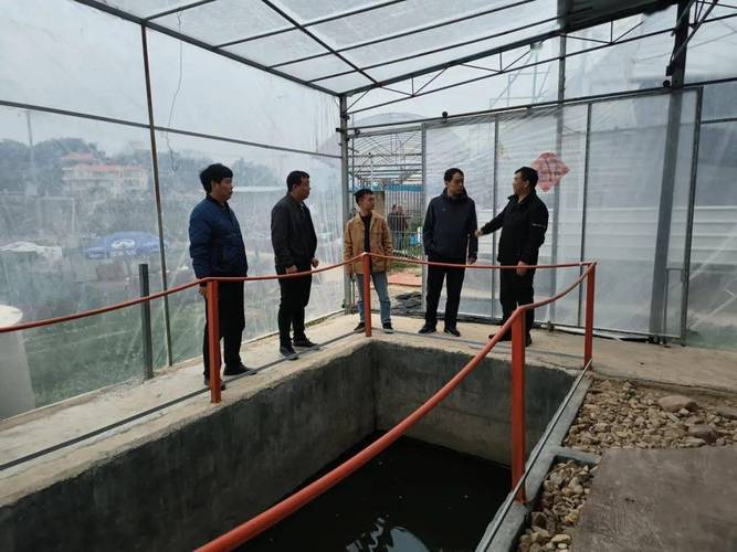 水產(chǎn)養(yǎng)殖尾水達(dá)標(biāo)排放,省水技總站專家組團(tuán)來南調(diào)研_治理_企業(yè)_技術(shù)