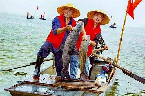 農(nóng)業(yè)農(nóng)村部辦公廳關(guān)于 實(shí)施水產(chǎn)綠色健康養(yǎng)殖技術(shù)推廣 五大行動(dòng) 的通知