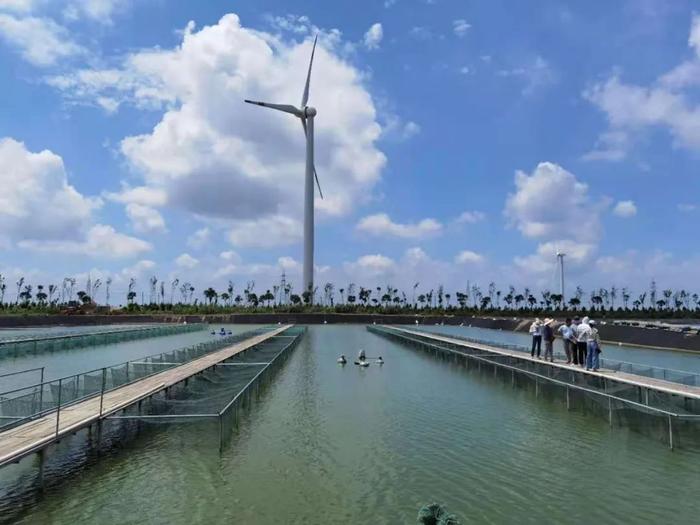 18000多畝標(biāo)準(zhǔn)化養(yǎng)殖池塘,專注高品質(zhì)草魚、鯽魚、鮰魚養(yǎng)殖!現(xiàn)代化水產(chǎn)養(yǎng)殖企業(yè)誠邀技術(shù)員