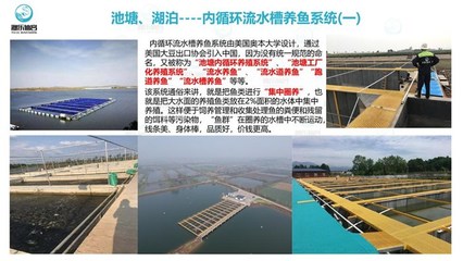 工廠化循環水養魚-智慧農研(推薦商家)-工廠化養魚