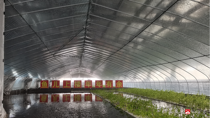 &ldquo;魚兒上樓、南魚北養(yǎng)&rdquo;成為現(xiàn)實--湖北聚源之漁生物工程技術(shù)引進農(nóng)業(yè)工業(yè)化生產(chǎn)模式