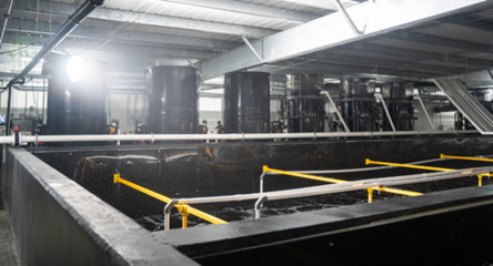 全球人均每年消費41斤魚類:漁業如何可持續發展?看海璟水產如何做