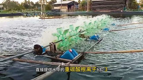 水產養殖中,小蘇打真的能夠提高總堿度嗎