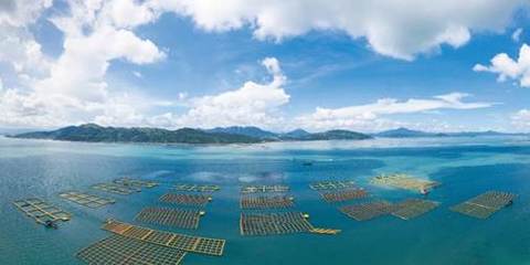 黃海水產(chǎn)研究所3項技術入選農(nóng)業(yè)農(nóng)村部2023年農(nóng)業(yè)主推技術