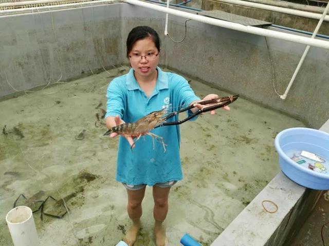 廣東18人上榜!首屆&ldquo;全國鄉(xiāng)村振興青年先鋒&rdquo;評選結果揭曉