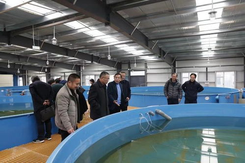 江西省水產(chǎn)學(xué)會在九江市召開工廠化循環(huán)水養(yǎng)殖研討會