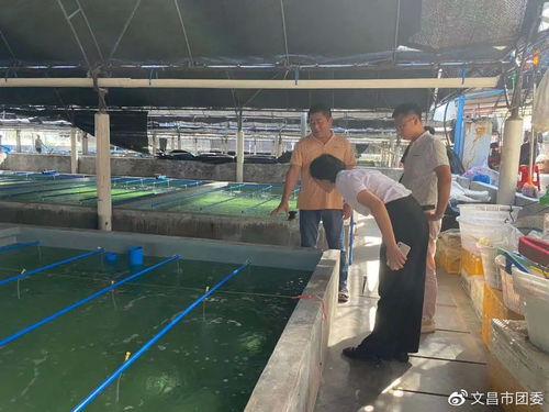 海南文昌市團(tuán)委到會文鎮(zhèn)煙堆村調(diào)研水產(chǎn)養(yǎng)殖產(chǎn)業(yè)及鄉(xiāng)村振興工作