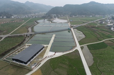 創(chuàng)展現(xiàn)代漁業(yè)產(chǎn)業(yè)園,推動漁業(yè)發(fā)展轉(zhuǎn)型升級,助力鄉(xiāng)村全面振興