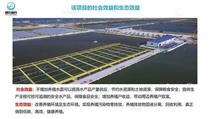 工廠化養魚-智慧農研(在線咨詢)-工廠化循環水養魚