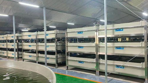 今年養(yǎng)啥最賺錢 deepseek和聯(lián)塑帶你揭秘水產(chǎn)養(yǎng)殖新風(fēng)口