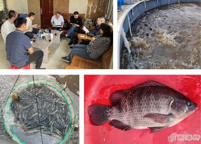 南海所&ldquo;高密度對(duì)蝦+海水羅非魚異位串聯(lián)的生物絮團(tuán)零換水養(yǎng)殖技術(shù)&rdquo;試驗(yàn)示范通過測(cè)產(chǎn)驗(yàn)收