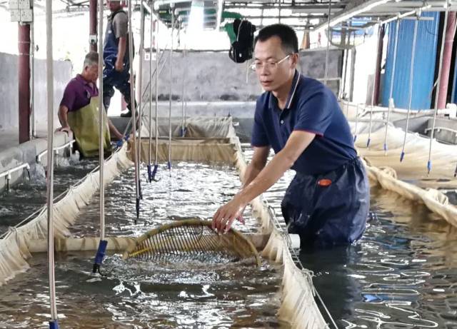 在假期,新型&ldquo;職業(yè)農(nóng)民&rdquo;是怎么養(yǎng)魚的?