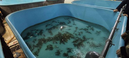 【中國日報網(wǎng)】新征程再奮斗,新疆吉木乃調(diào)研學(xué)習(xí)拓視野