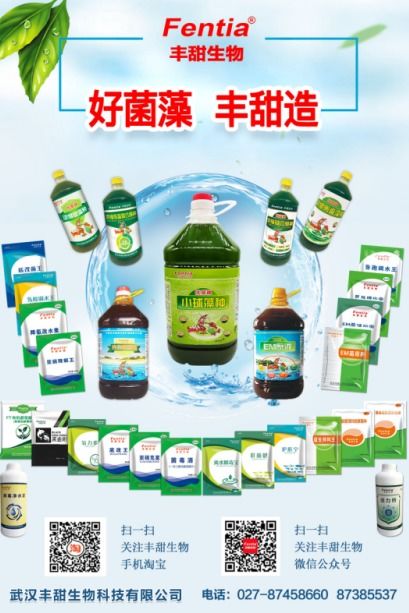 水產養(yǎng)殖博覽會新亮點呈現(xiàn)