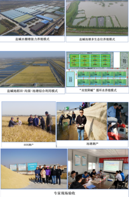 中國水產科學研究院東海所牽頭的藍色糧倉重點專項課題&ldquo;鹽堿水質綜合改良調控技術研發(fā)與養(yǎng)殖模式構建&rdquo;開展2020年度現(xiàn)場驗收