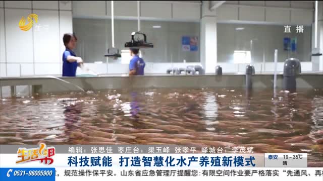 科技賦能 打造智慧化水產(chǎn)養(yǎng)殖新模式