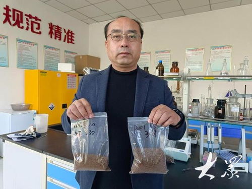 新型飼料助力養殖成本降低，農家樂休閑觀光服務展現農業新動能