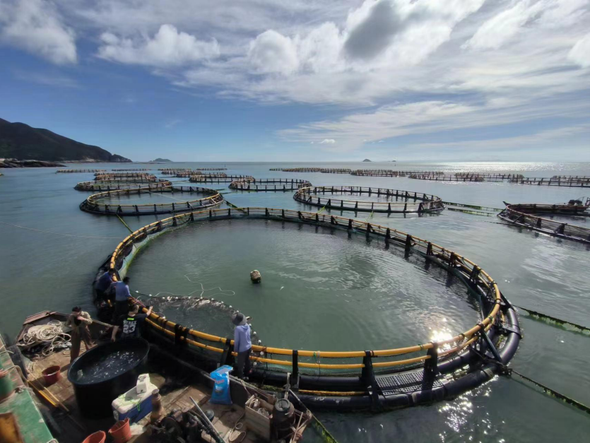 全省示范！溫州3家農(nóng)家樂(lè)休閑觀光服務(wù)獲殊榮