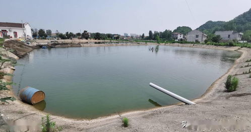 應(yīng)用新模式新技術(shù)，推動水產(chǎn)養(yǎng)殖綠色轉(zhuǎn)型與可持續(xù)發(fā)展