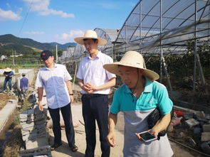 水產(chǎn)養(yǎng)殖災(zāi)后恢復(fù)技術(shù)指導(dǎo) 浙江磐安、德清兩地行